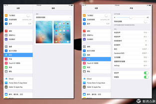 ipadpro怎么设置壁纸(ipadpro2021怎么设置壁纸)