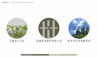 张家界LOGO设计公司哪家好(张家界logo设计公司哪家好一点)