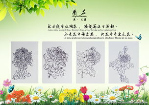 十句关于菊花的诗句