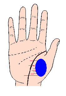 教你怎么看手相 简单看手纹知健康 手相算命图解 