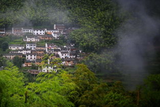 八分半山一分田，半分水路和庄园 什么意思