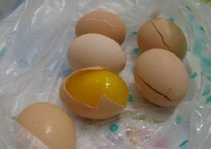 假鸡蛋(市面上真的有假鸡蛋吗)