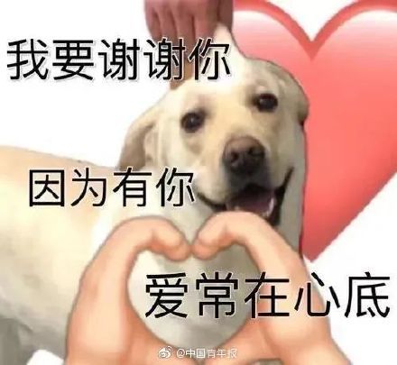 深圳建成集中隔离人员宠物托管中心