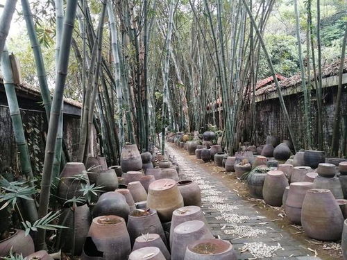 竹林 酒坛 石磨,老木棉匠园的古风元素很有韵味