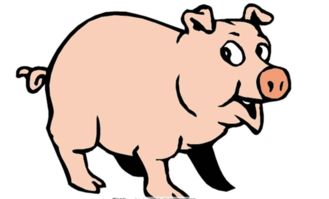 1971年属猪的人2018年运势及运程详解