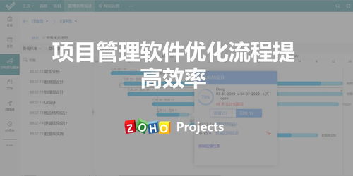 学校重查：流程优化与效率提升