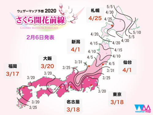 2020年国庆可以去日本旅游了吗 去日本带转换插头吗