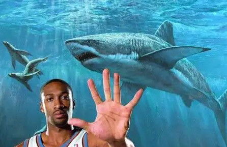 NBA球星特殊癖好你知道几个 养虎养蛇养鲨鱼 一人赛前要催吐