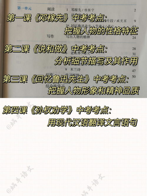初中语文七年级下册语文没有中考考点 
