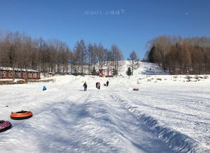 2017年2月 走在白茫茫的雪地上 东北行