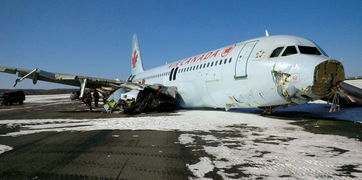 加拿大载137人客机降落时冲出跑道 23人入院 