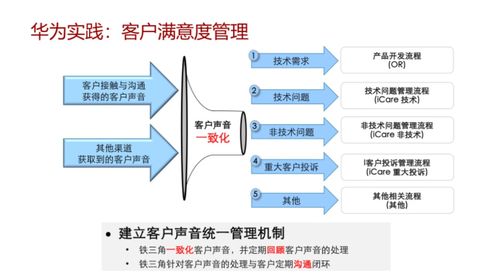 簸箕炊、盐焗花螺、薯包籺……粤西过年叹美食想“夫人”|JN江南体育官方网站(图21)