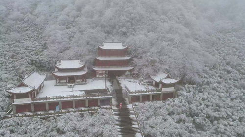 元旦看雪适合去哪里 (过年适合看雪旅游的地方)