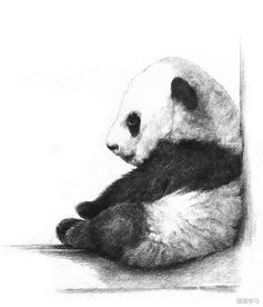 如何学素描 素描大熊猫的绘画步骤教程 