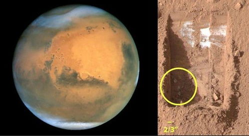 科学家又一个重大发现,可有力证明 火星上曾经出现过生命