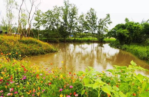 成都周边的湿地公园 