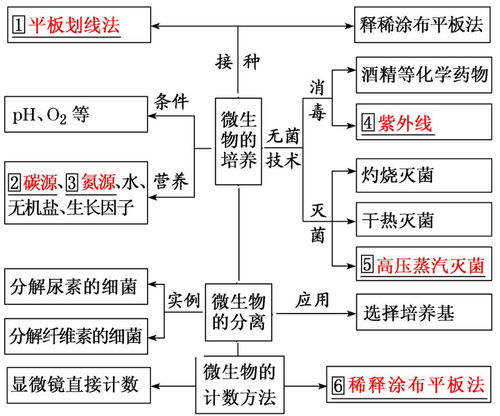 关于培养基的知识点