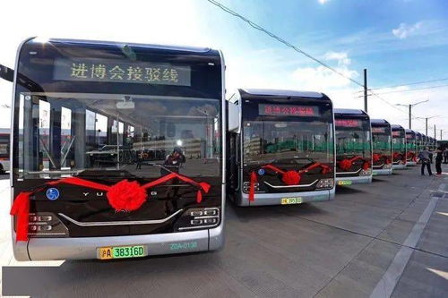 比最近超火的 天空大片 还美 上海这些颜色小众 外观独特的公交车,你乘过吗