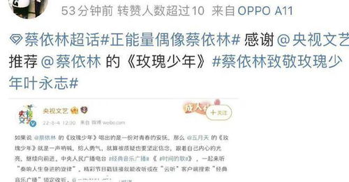 蔡依林微博被央视删除 网友 估计她做梦也没想到吧