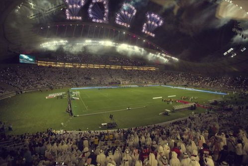 2022卡塔尔世界杯澳大利亚