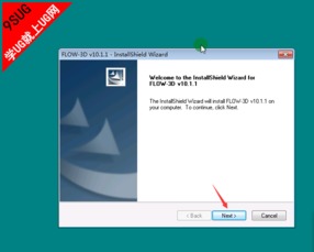 flow3d10.1安装win10系统