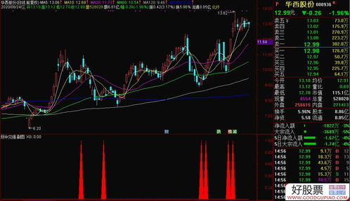 通达信弱中见强副图 选股指标 源码 