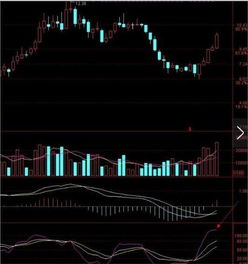 求助：股票以最近涨停板开始自动标注k线天数源码