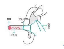 用红外线体温计测身体哪个部位最准？