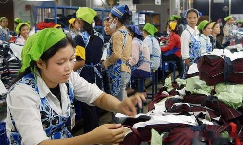 柬埔寨一制衣厂解雇3000工人