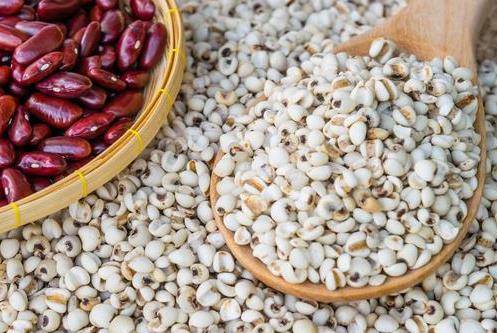 赤小豆薏米，薏米赤小豆的功效