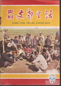 农村支部生活1965年2 4 5 6 7 8 9 10 11 12 16 17 18 20 22 23 24.总第32 54期.17册合售