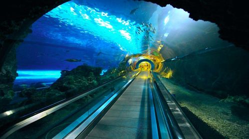 为什么能在全是水的海里建海底隧道,是通过什么方式修建的