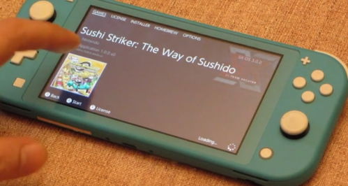 TX团队发布Switch Lite破解预告 成功运行SX OS 3.0系统