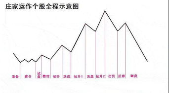 请问庄家早盘量比可以做假吗?对倒可以提高量比吗?求老股民详解