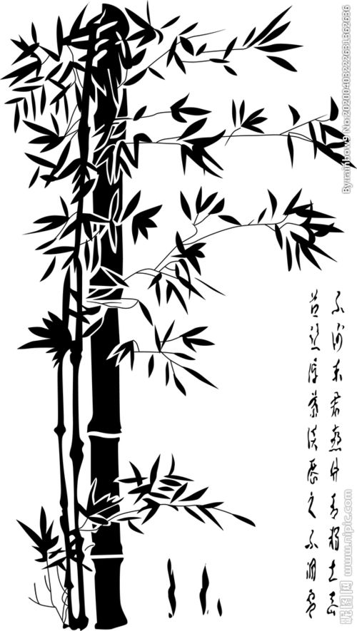 关于竹子的诗句和插图