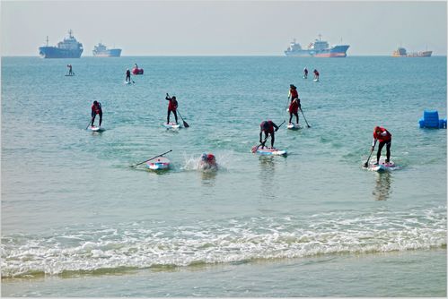 沸点赞助2017海豚桨板嘉年华在深圳大鹏官湖海滩成功举办