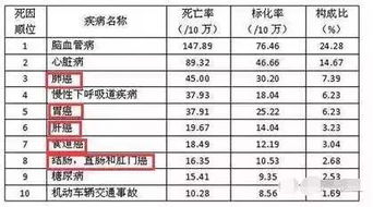 台风 梅花黄色预警讯号是什么意思