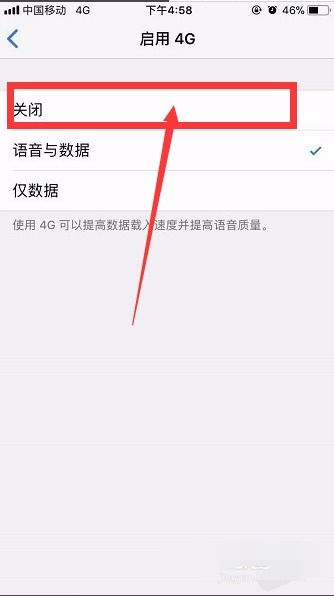 苹果手机怎么关闭4G网络 