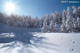 冬天雪景0565 冬天雪景图 自然风景图库 