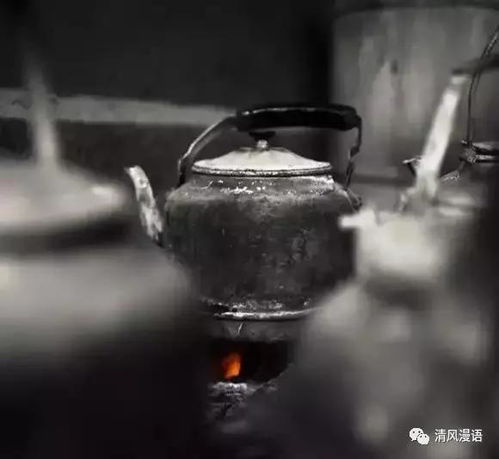 一壶岁月,不论悲喜