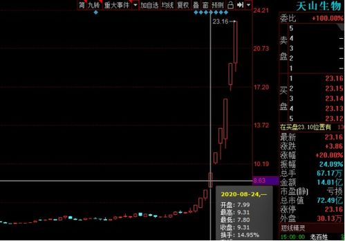 有些股票为什么可以有20%以上的涨副