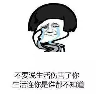 丑就够倒霉了,还这么傻 你是不是我亲儿子 