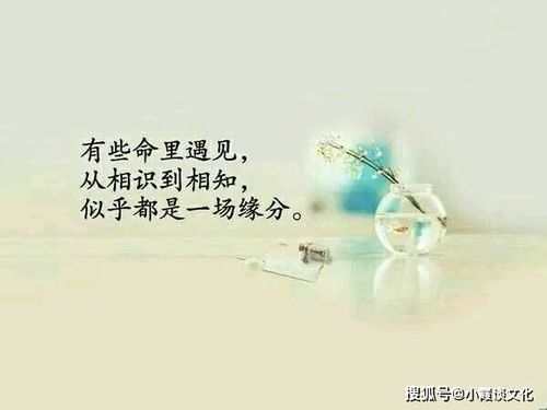 不向命运屈服的名言短句