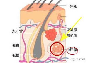 张予曦晒素颜秀了一把好皮肤,但眼尖的我发现了一个问题... 