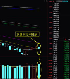 股票里的重要支撑位是什么意思