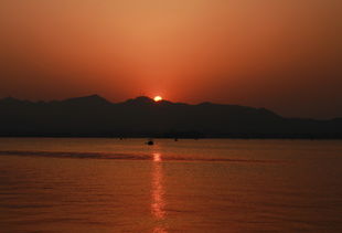 鲜花与夕阳专辑 速来速去 