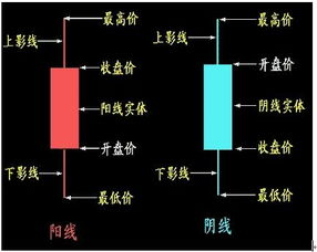 我想了解关于股票的一些基本知识