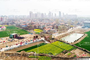 河南滑县 带着土地的新市民 村口看大戏 