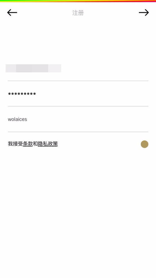 vsco注册填写个人资料名称无效怎么办 vsco怎么注册账号