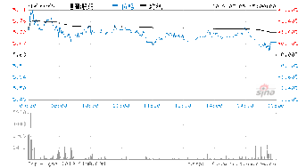 600365走式怎样